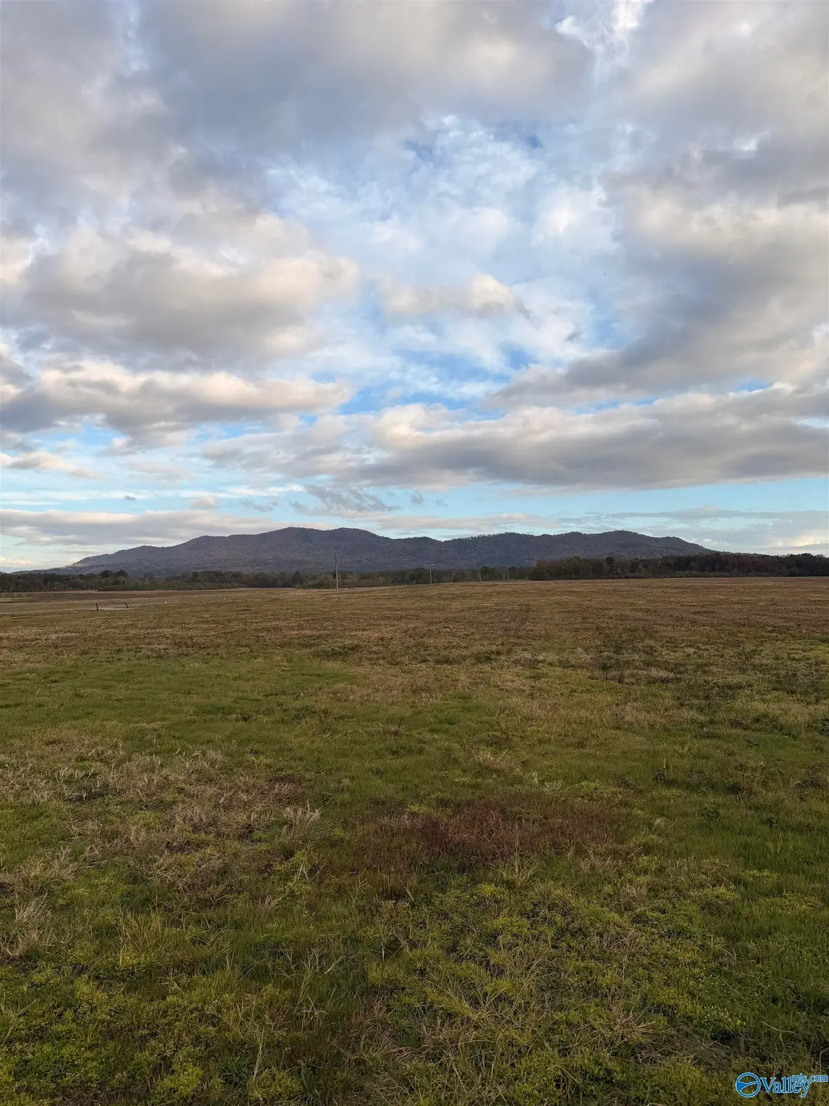 Lot 50 County Road 32, Piedmont, AL 36272 - #1