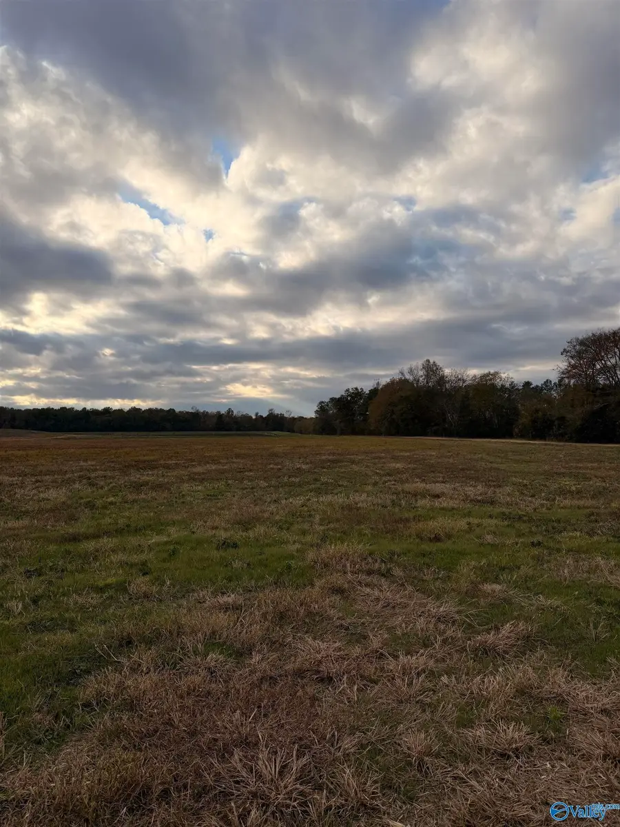 Lot 50 County Road 32, Piedmont, AL 36272 - #2