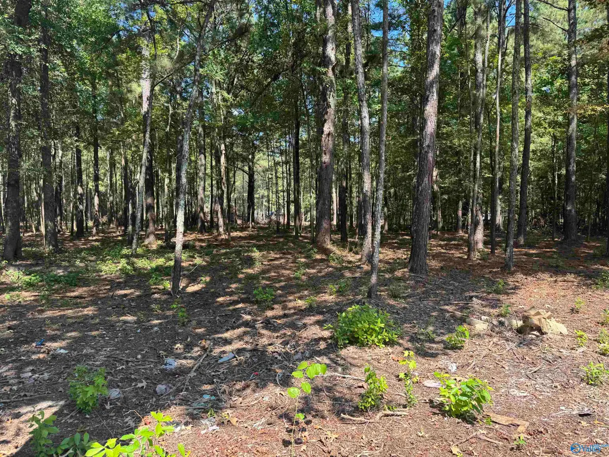 Lot 38 County Road 450 #38, Centre, AL 35960 - #1