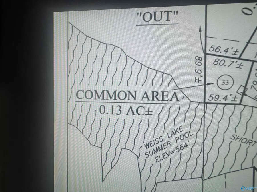 Lot 38 County Road 450 #38, Centre, AL 35960 - #3