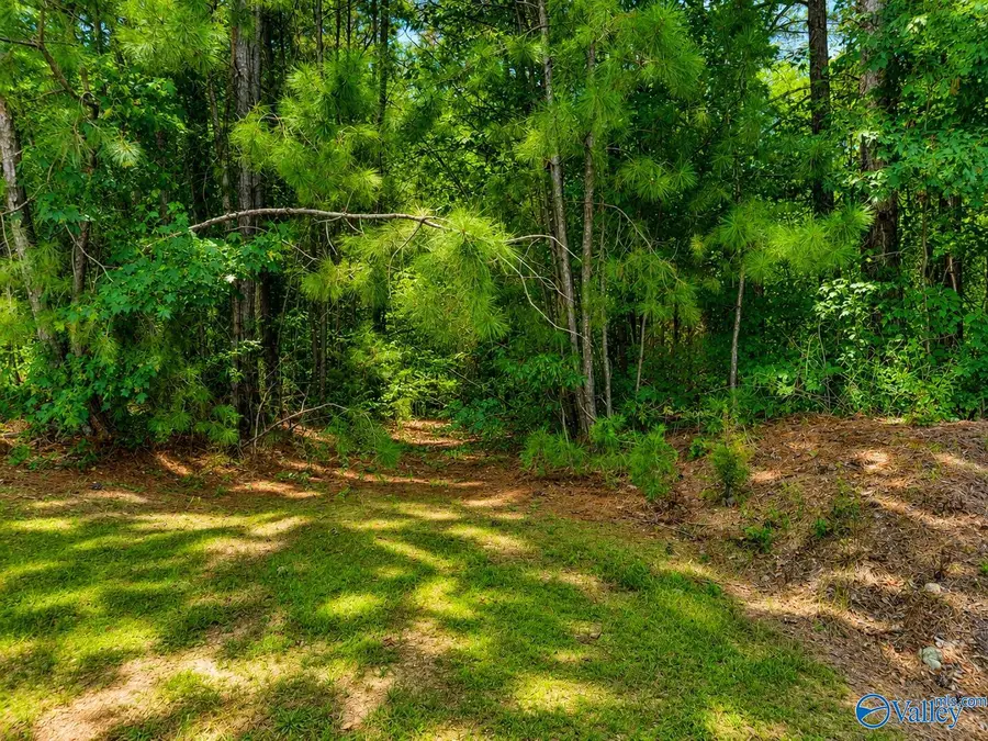 Lot 11 County Road 448, Centre, AL 35960 - #3