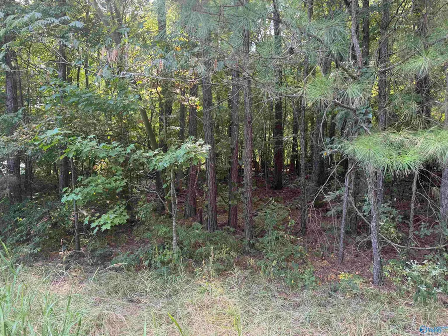 1.01 acres River Point, Rainbow City, AL 35906 - #2