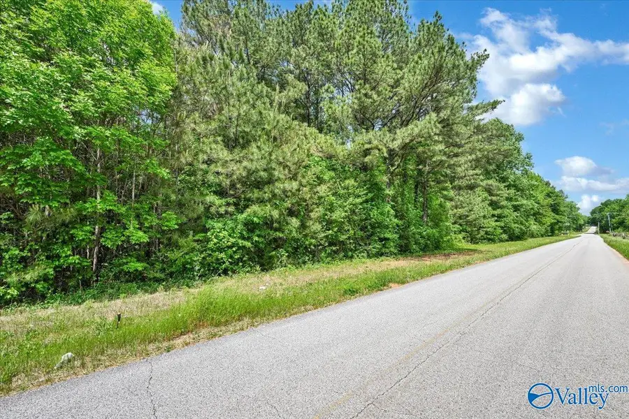 Lot 4 Mill Creek Road, Falkville, AL 35622 - #2