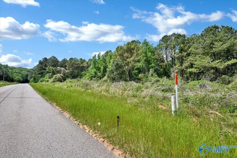 Lot 5 Mill Creek Road, Falkville, AL 35622 - #2