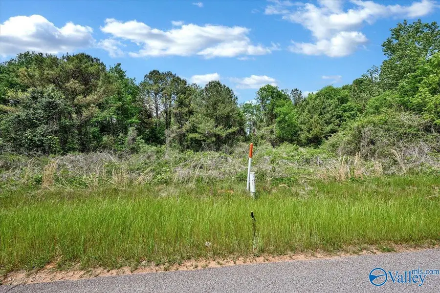 Lot 5 Mill Creek Road, Falkville, AL 35622 - #3
