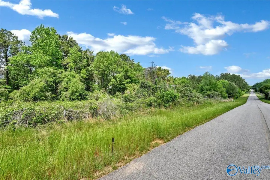 Lot 6 Mill Creek Road, Falkville, AL 35622 - #2
