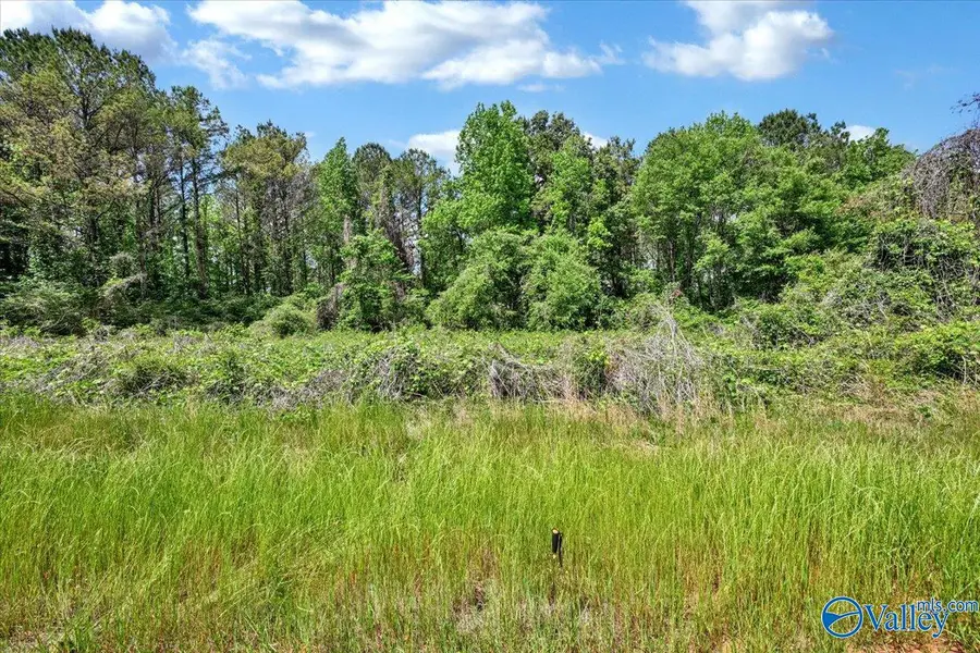 Lot 6 Mill Creek Road, Falkville, AL 35622 - #3