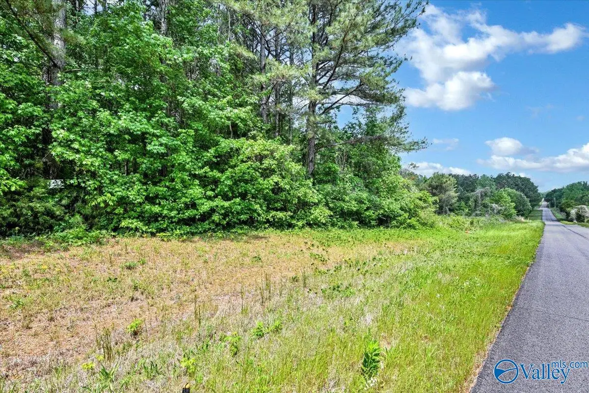 Lot 7 Mill Creek Road, Falkville, AL 35622 - #1