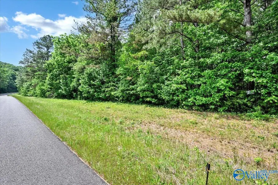 Lot 7 Mill Creek Road, Falkville, AL 35622 - #2