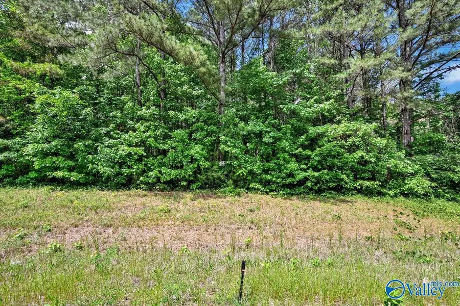 Lot 7 Mill Creek Road, Falkville, AL 35622 - #3