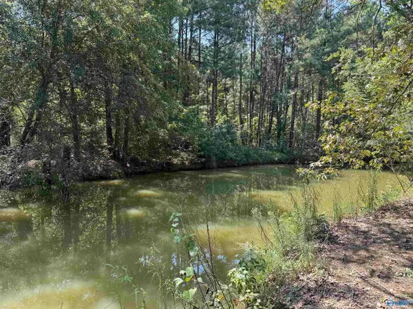 LOT 9 County Road 450 #9, Centre, AL 35960