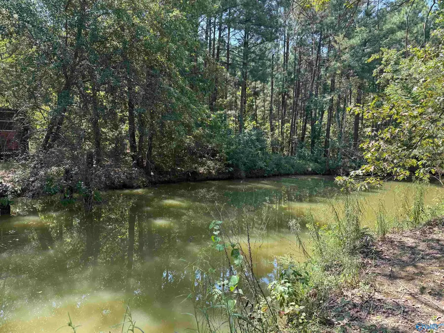 LOT 9 County Road 450 #9, Centre, AL 35960 - #3