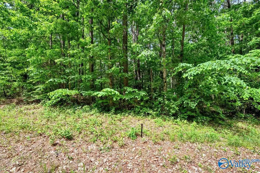 Lot 8 Mill Creek Road, Falkville, AL 35622 - #2