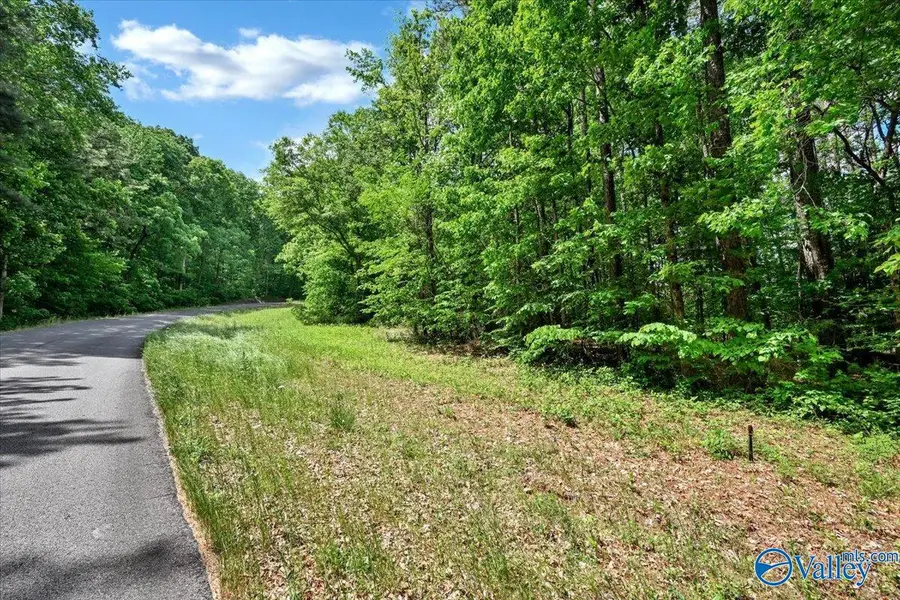 Lot 8 Mill Creek Road, Falkville, AL 35622 - #3