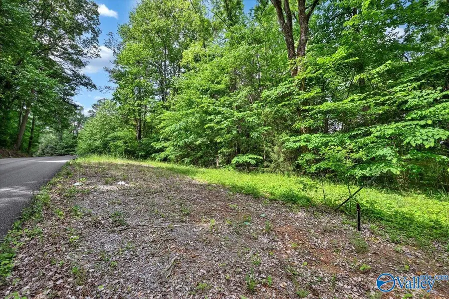Lot 9 Mill Creek Road, Falkville, AL 35622 - #2