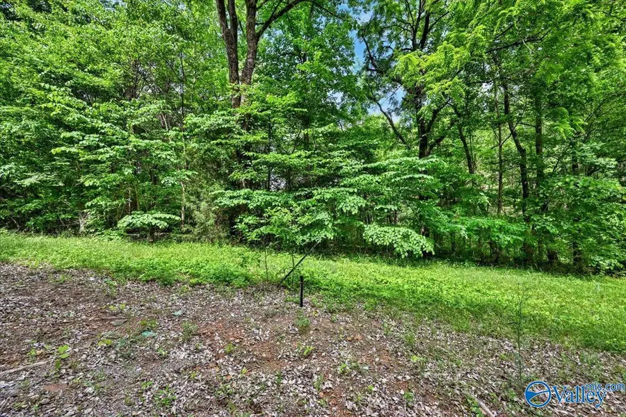 Lot 9 Mill Creek Road, Falkville, AL 35622 - #3