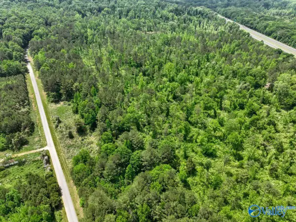 Lot 10 Mill Creek Road, Falkville, AL 35622