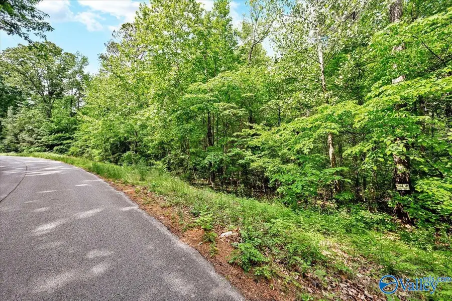 Lot 10 Mill Creek Road, Falkville, AL 35622 - #3