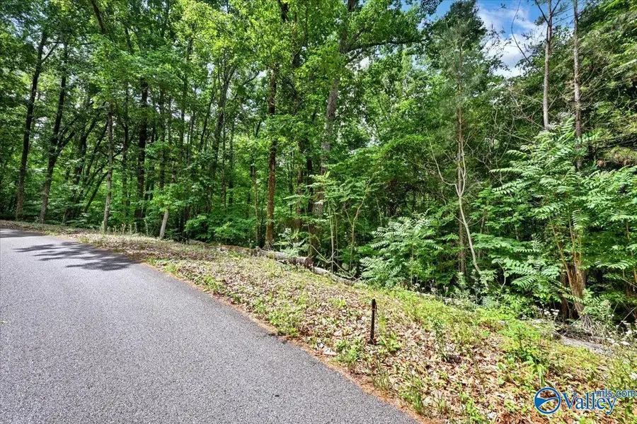 Lot 11 Mill Creek Road, Falkville, AL 35622 - #2