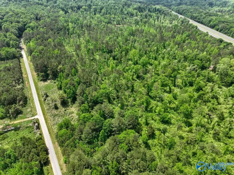 Lot 12 Mill Creek Road, Falkville, AL 35622 - #2