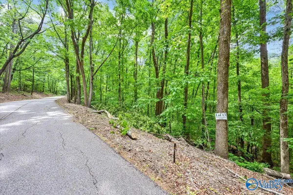 Lot 13 Mill Creek Road, Falkville, AL 35622