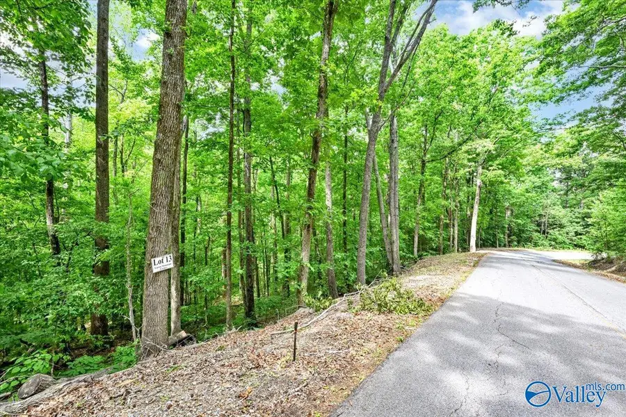 Lot 13 Mill Creek Road, Falkville, AL 35622 - #2