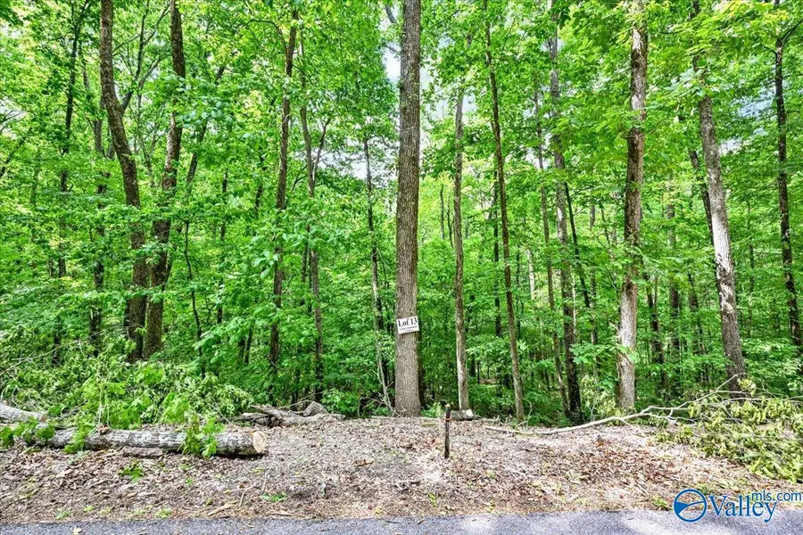 Lot 13 Mill Creek Road, Falkville, AL 35622 - #3