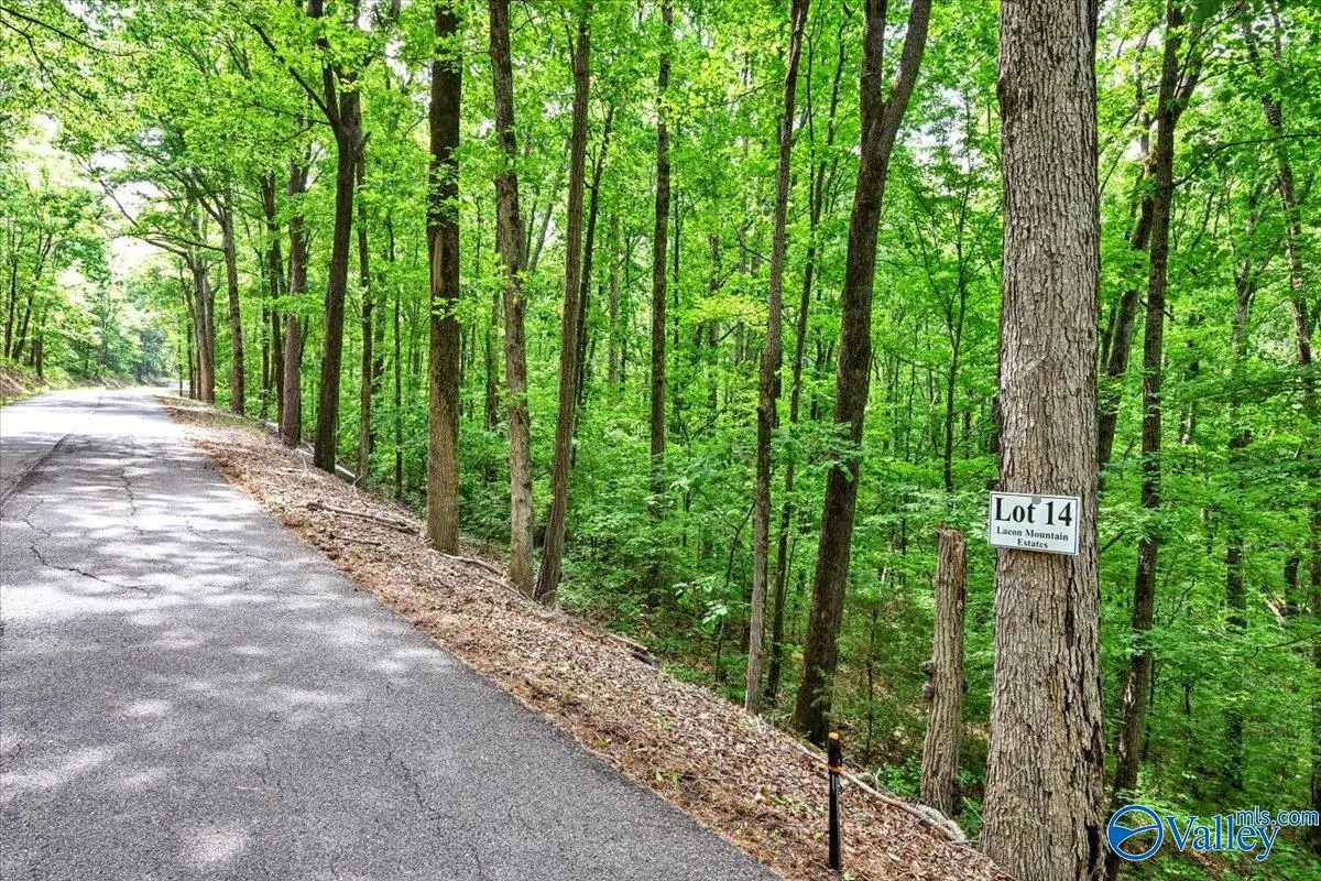 Lot 14 Mill Creek Road, Falkville, AL 35622 - #1
