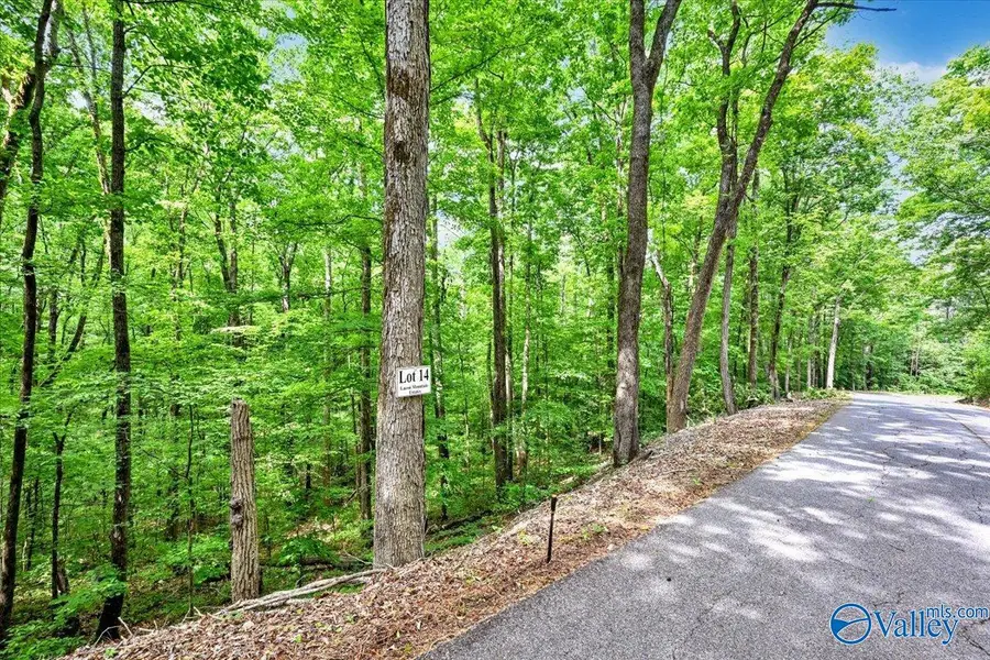 Lot 14 Mill Creek Road, Falkville, AL 35622 - #2