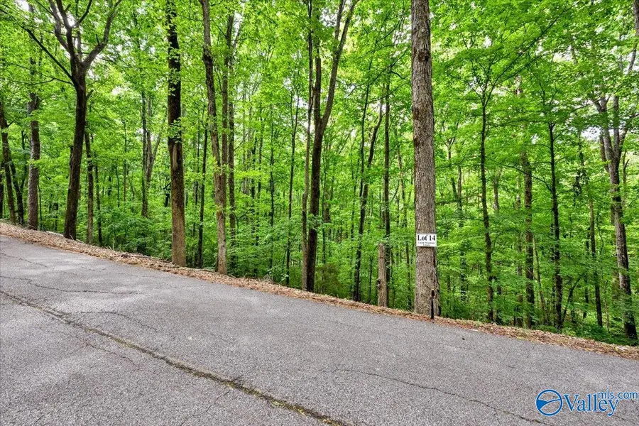 Lot 14 Mill Creek Road, Falkville, AL 35622 - #3