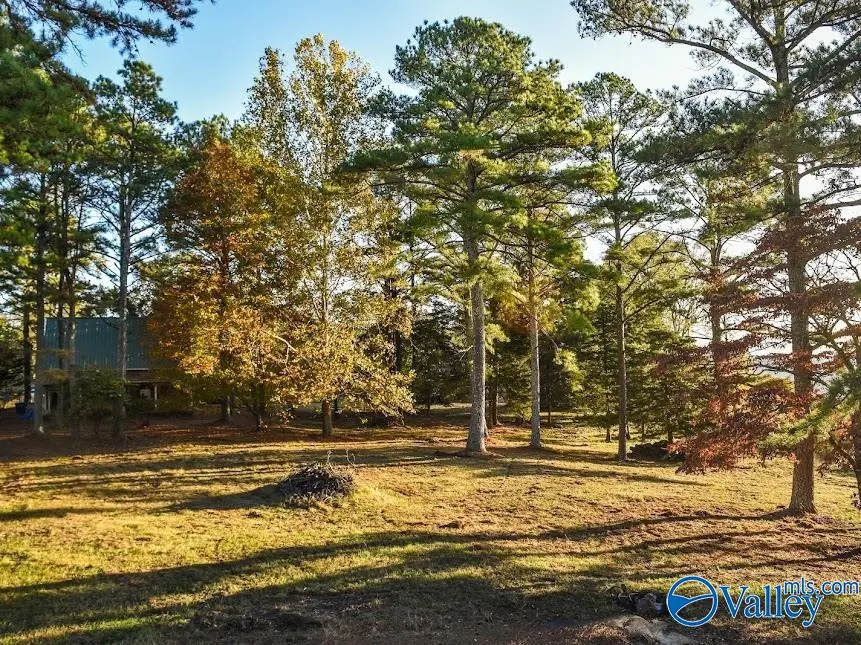 157 Edmonds Drive, Grant, AL 35747 - #2