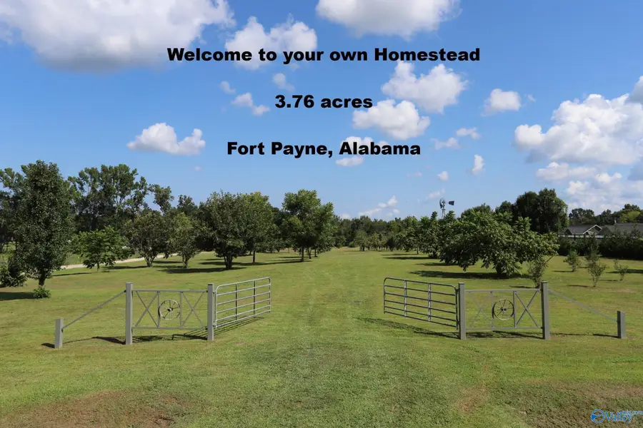 2468 County Road 505, Fort Payne, AL 35968 - #2