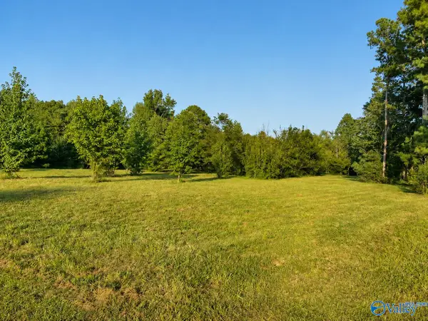 21.25 ACRES Hopewell Road, Guntersville, AL 35976