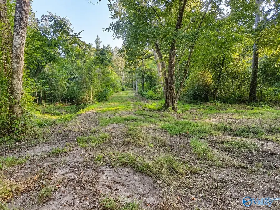 21.25 ACRES Hopewell Road, Guntersville, AL 35976 - #2