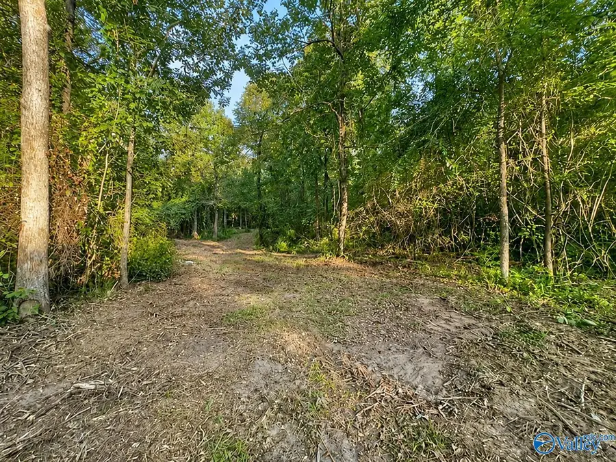 21.25 ACRES Hopewell Road, Guntersville, AL 35976 - #3