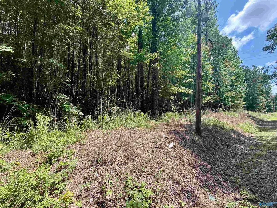 18&19 Stone Road, Glencoe, AL 35905 - #3