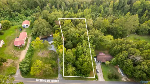 .68 Acre Lister Ferry Road, Rainbow City, AL 35906