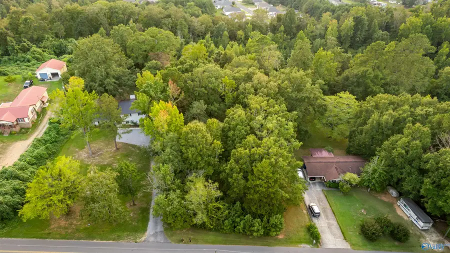 .68 Acre Lister Ferry Road, Rainbow City, AL 35906 - #3