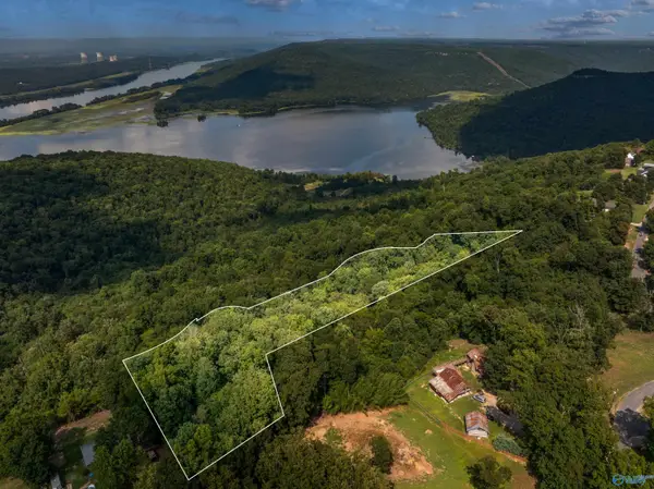 1.07 acres County Road 223, Dutton, AL 35744