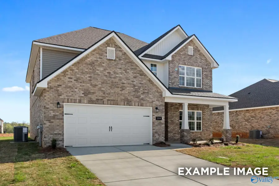 114 Cotita Drive, Toney, AL 35773 - #3