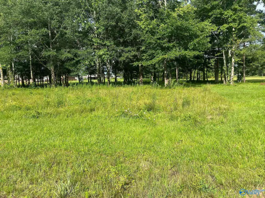 25109 Guthrie Road, Elkmont, AL 35620 - #3