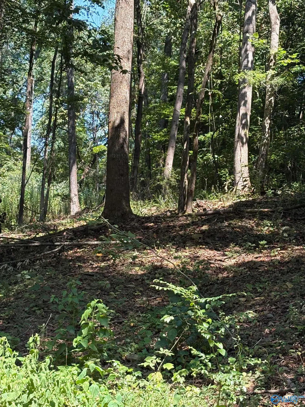 Lot 155 Sgt Holden Lane, Athens, AL 35614 - #1