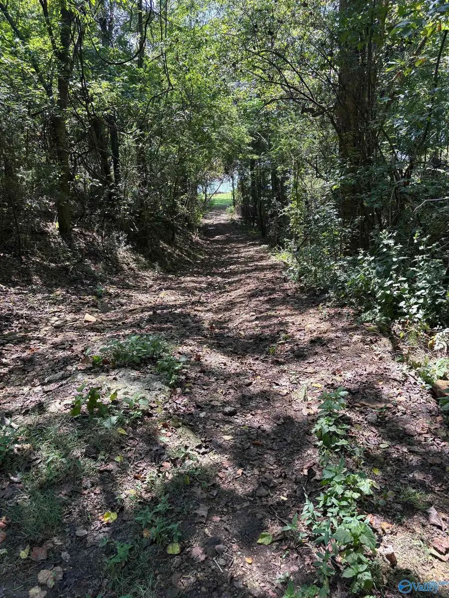 Lot 155 Sgt Holden Lane, Athens, AL 35614 - #2
