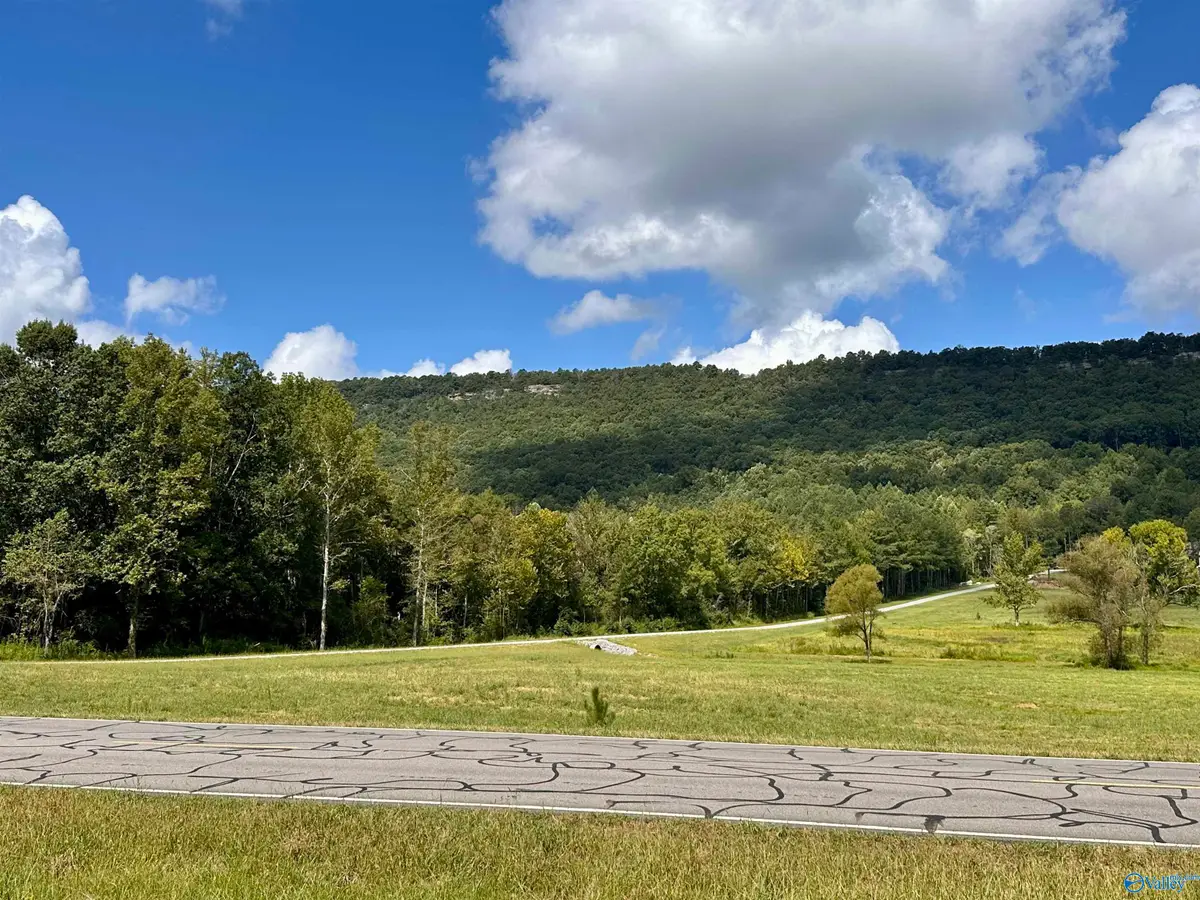32 Acres Gallant Road, Gallant, AL 35972 - #1