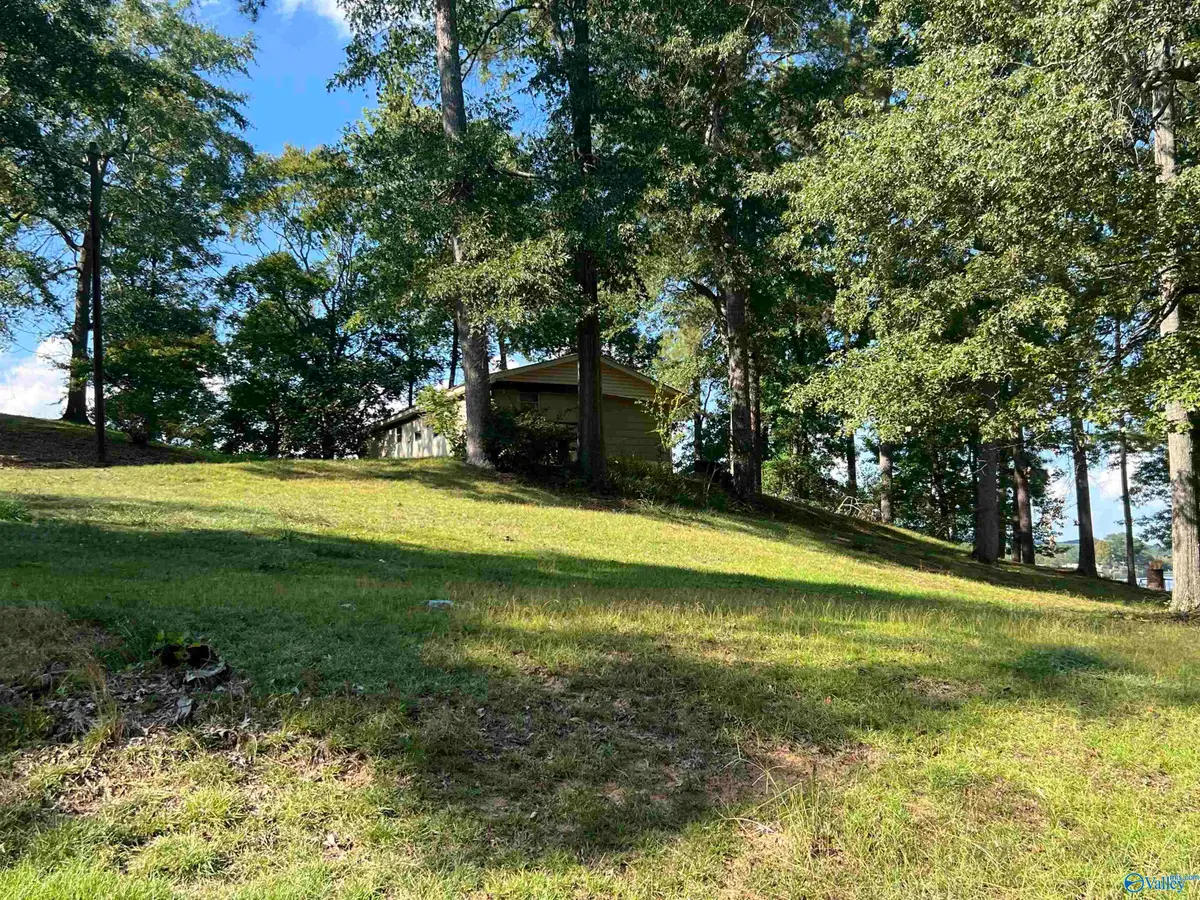 195 County Road 962, Gaylesville, AL 35973 - #1