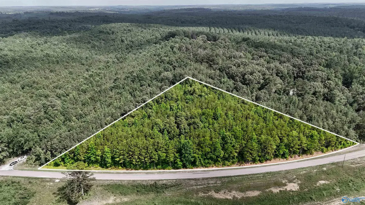 4.8 ACRES County Road 33, Hamilton, AL 35570 - #1