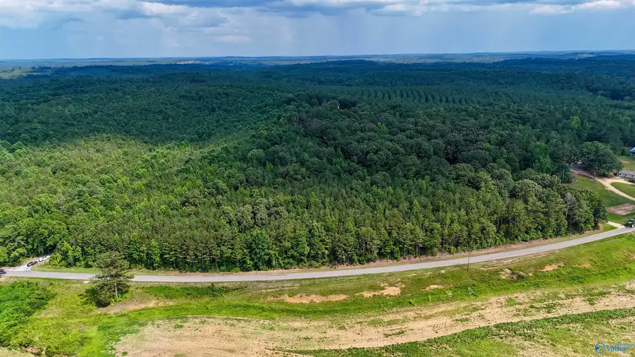 4.8 ACRES County Road 33, Hamilton, AL 35570 - #2