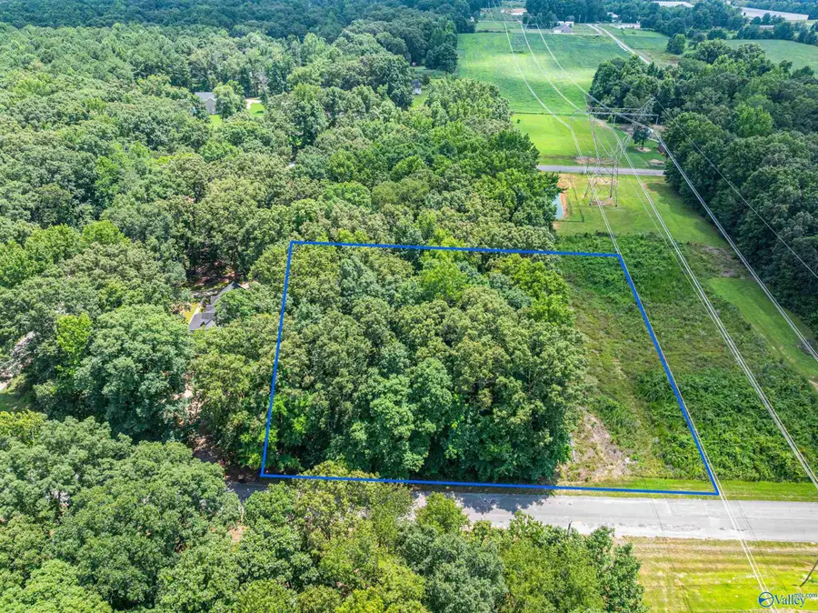 1.23 acres Katie Drive, Toney, AL 35773 - #3