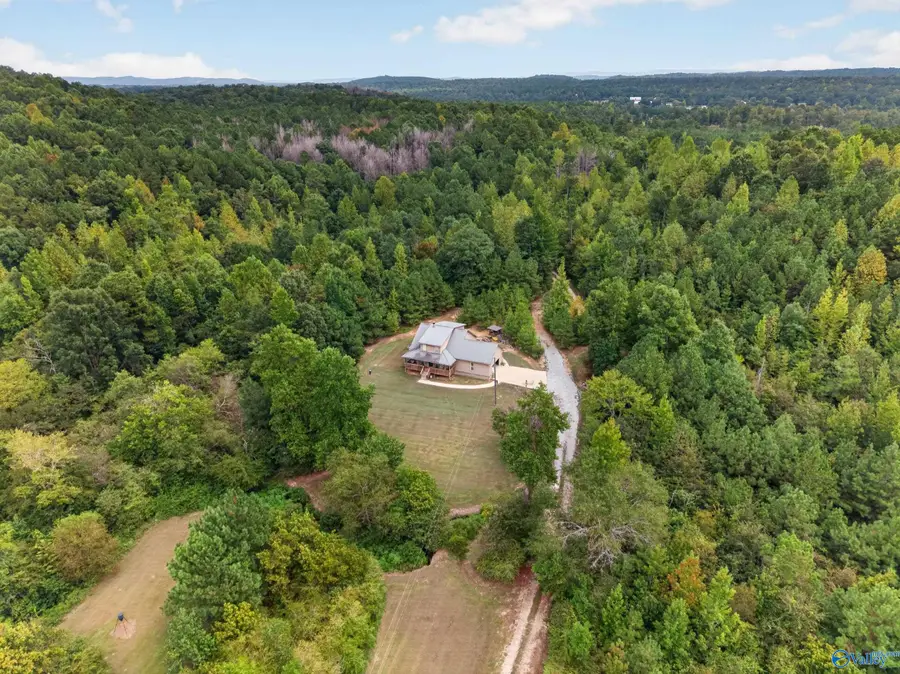2320 Cochran Springs Road, Ohatchee, AL 36271 - #3