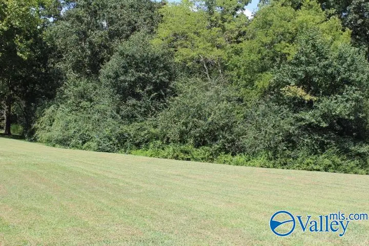 302 County Road 1836, Arab, AL 35016 - #3